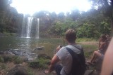 whangarei falls