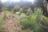 whangarei hike