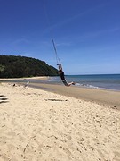 Daintree