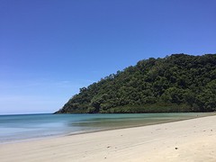 Daintree
