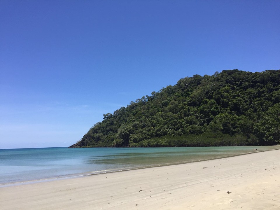 Daintree