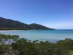 Daintree