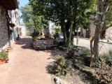 DSC02905