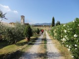 DSC02968