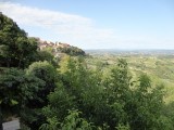 DSC03038