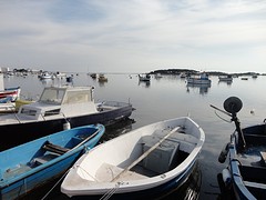 DSC03429