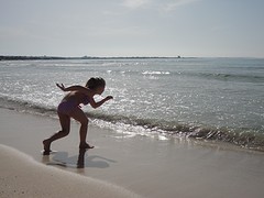 DSC03462