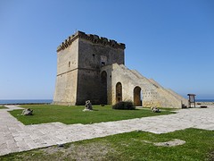 DSC03464
