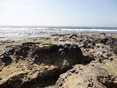 DSC03469