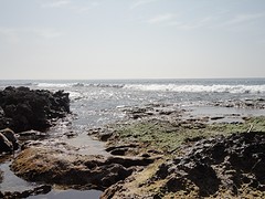 DSC03474