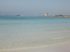 DSC03475