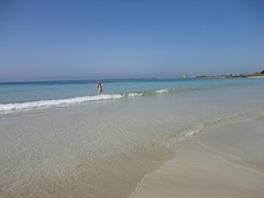 DSC03477