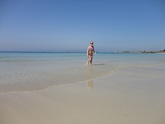 DSC03478