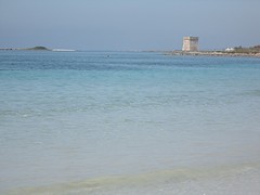 DSC03485