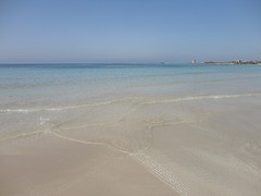 DSC03487