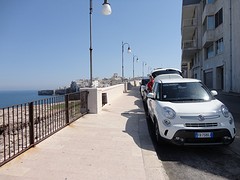 DSC03500