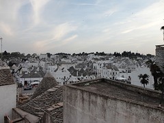 DSC03549