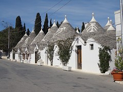 DSC03556