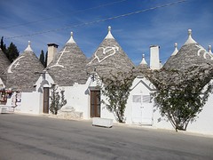 DSC03560