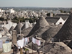 DSC03575