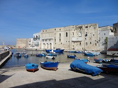 DSC03588