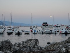 DSC03837