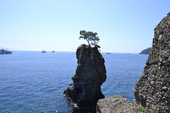 _DSC2611