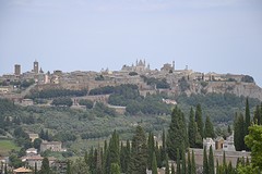 _DSC2849