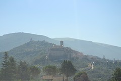 _DSC3000