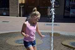 _DSC3142