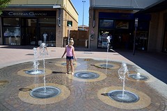 _DSC3144