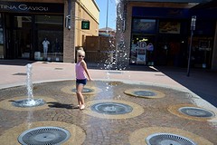 _DSC3145