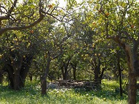 DSCN0055