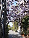 DSCN0077