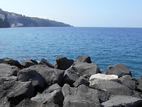 DSCN0113
