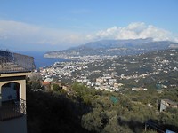 DSCN0131