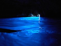 DSCN0238