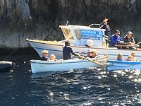 IMG_0256