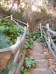 DSCN0274
