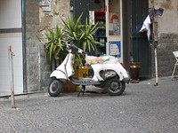 DSCN0377