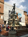 IMG_8779