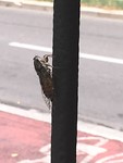 IMG_8807