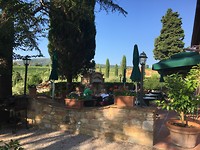 IMG_8850