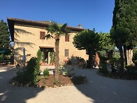 IMG_8853