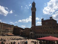 IMG_8857