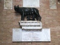 IMG_8863