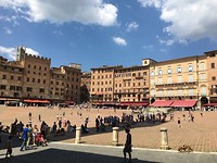 IMG_8865
