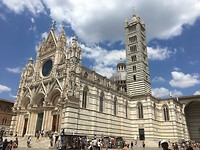 IMG_8875