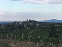 IMG_8885