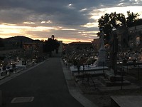 IMG_8890